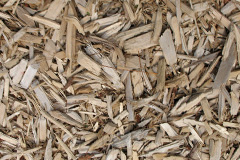 biomass boilers Trapshill